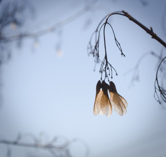 Un point dans l'espace